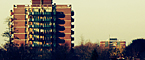 Rooftops