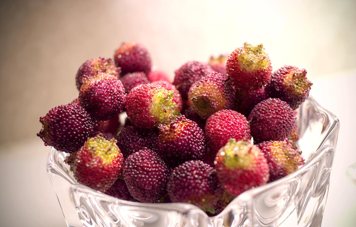 'Poisonberry' by richardmacin