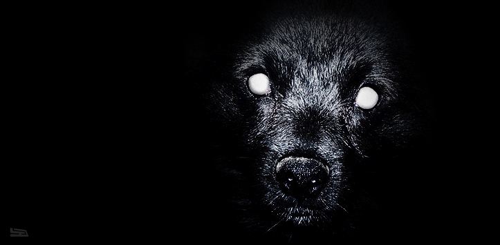 'In Its Eyes' by ex-plode