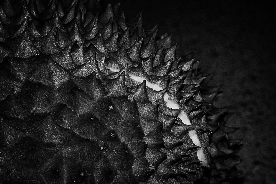 'Durian' created for slashTHREE Exhibition #4