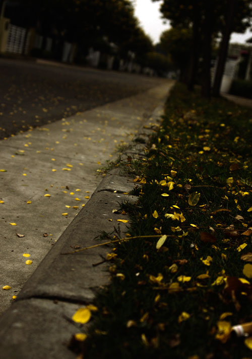 'Path' by Idecko