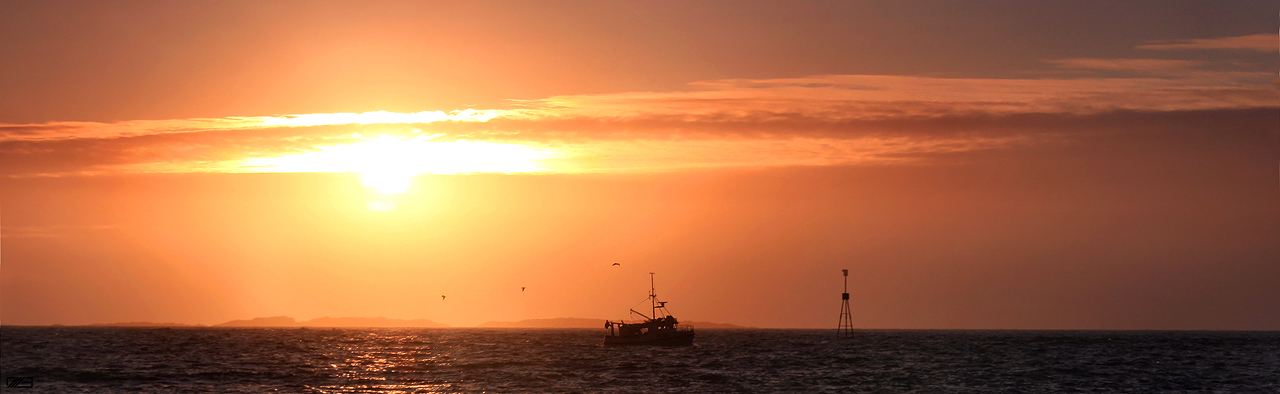 'The Happy Fisherman' by JLG