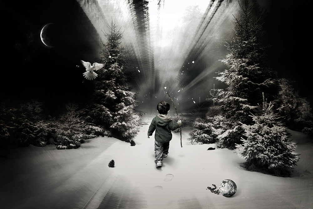 'NEVER.ALONE' by ICDP, crash