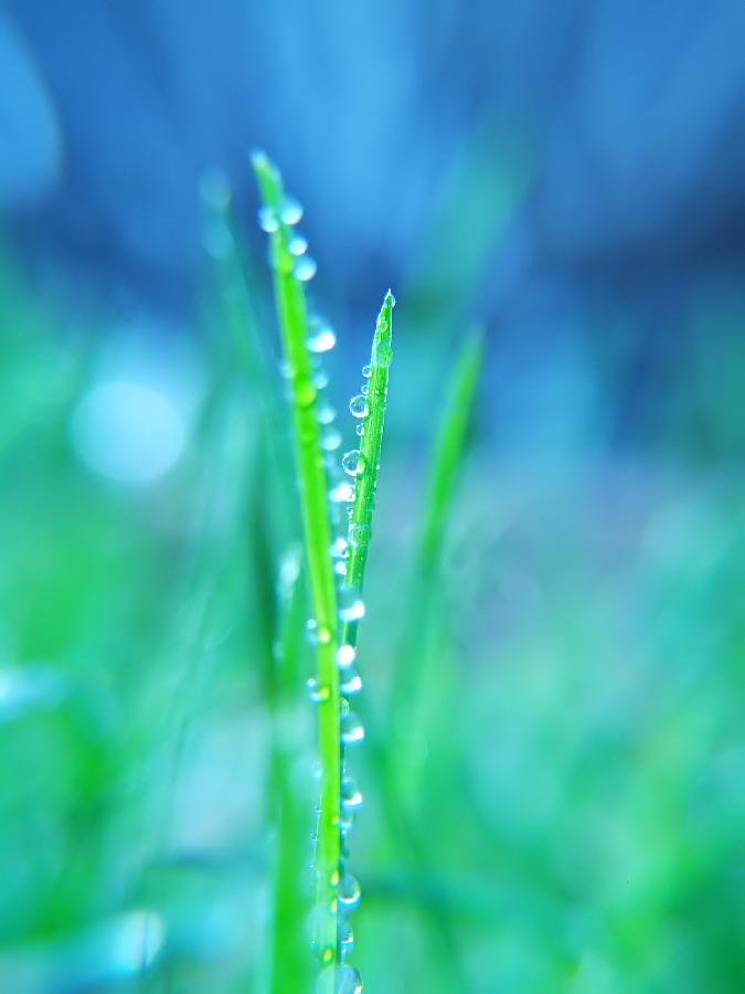 'New Life' by onixa
