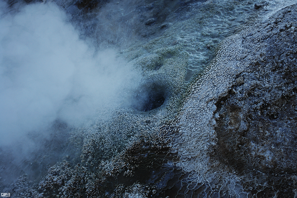 'devils breath' by brodi