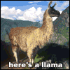 Suddu's avatar