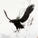 weslenmartins's avatar