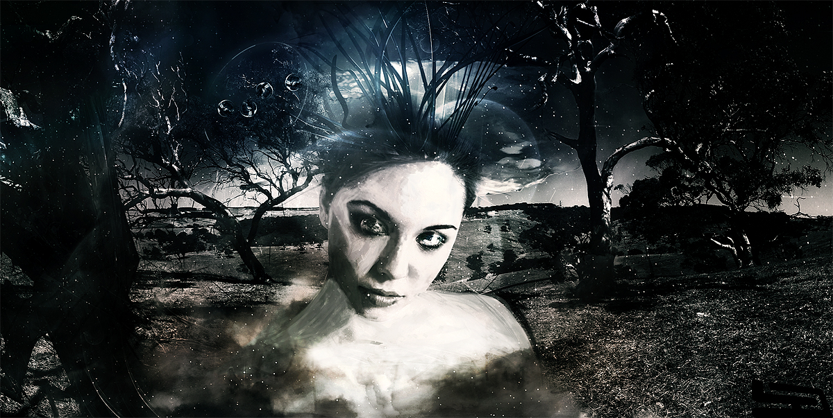 Reawakening